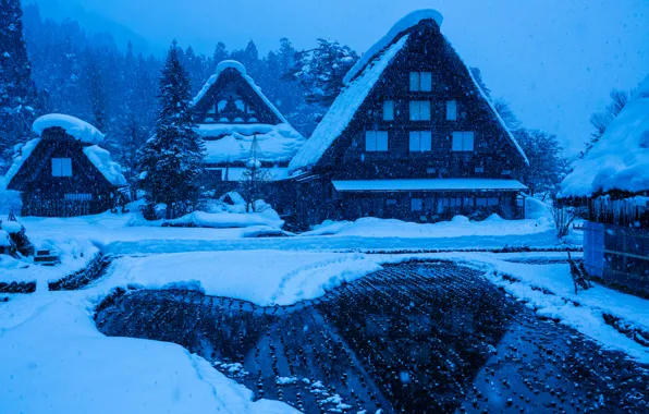 Picture winter, snow, house, Japan, the island of Honshu, Gokayama, Shirakawa-go