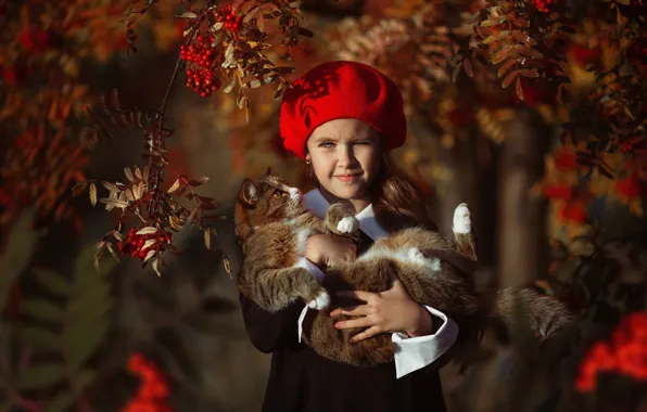Autumn, cat, branches, berries, girl, takes, Rowan, Alina Ivanova