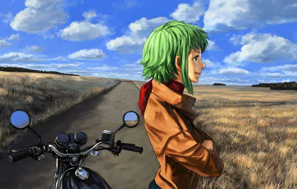 Field, girl, clouds, art, motorcycle, profile, vocaloid, gumi