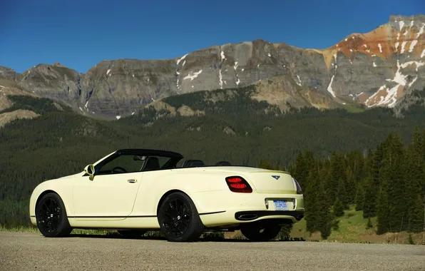 Picture Bentley, Continental, Mountains, White, Forest, Convertible, Day, Cream