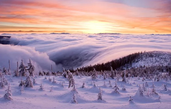 Winter, sea, forest, snow, clouds