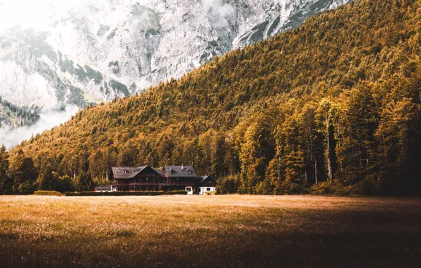 Picture Mountains, Trees, Forest, House