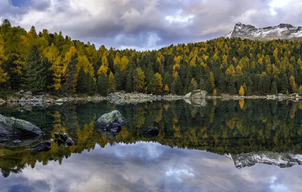 Autumn, forest, trees, mountains, lake, reflection, Switzerland, Switzerland