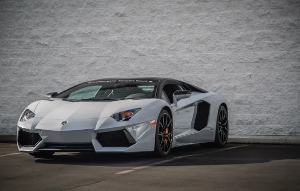 Picture Lamborghini, Lamborghini, Beach, LP700-4, Aventador, Gray, Aventador, Newport