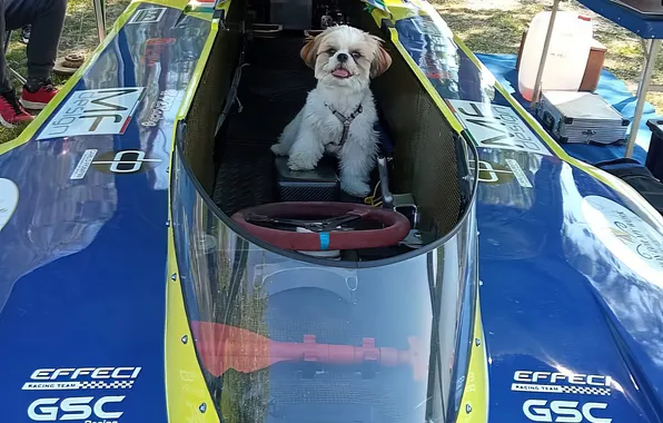 Speed, boats, race