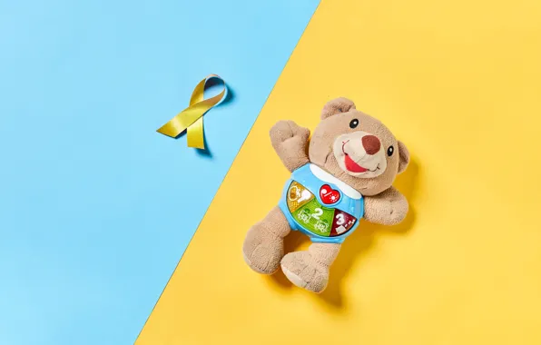 Picture photo, Tape, Toy, Bear, Colored background