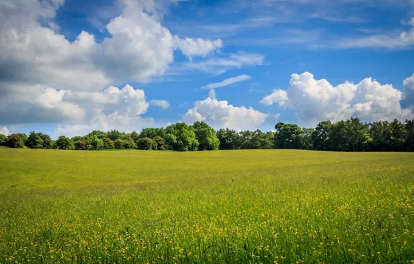 Picture field, the sky, clouds, nature