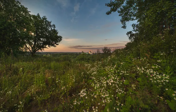 Picture summer, trees, landscape, nature, temple, grass, meadows