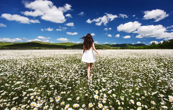 Picture field, summer, the sky, girl, the wind, hills, back, chamomile