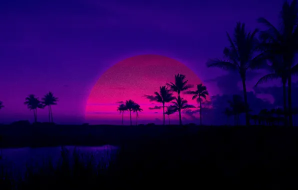 Sunset, The sun, The evening, Music, Style, Palm trees, Background, 80s