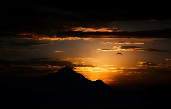 Picture the sky, sunset, mountains, bird