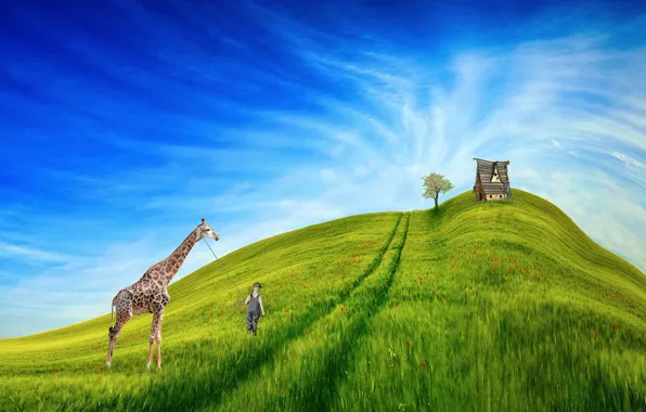 Summer, the sky, grass, clouds, flowers, blue, rendering, fantasy
