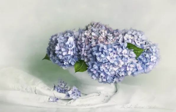 White, flowers, bouquet, art, fabric, vase, still life, painting