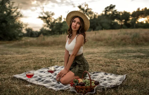 Picture grass, look, trees, pose, wine, basket, glade, model