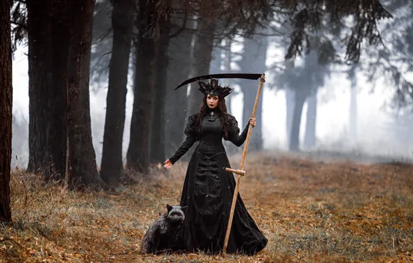 Girl, trees, face, style, dress, Fox, braid, silver