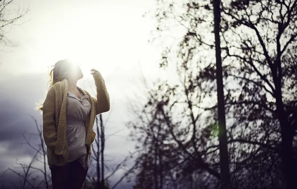 Autumn, girl, the sun, trees, branches