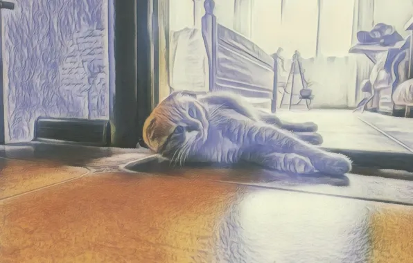 Cat, fold, ryzhyi