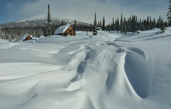 Winter, snow, landscape, nature, home, forest, Kuznetsk Alatau, Vyacheslav Kholzakov