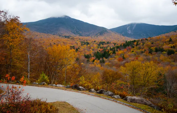 Picture road, forest, trees, mountains, Autumn, forest, road, trees