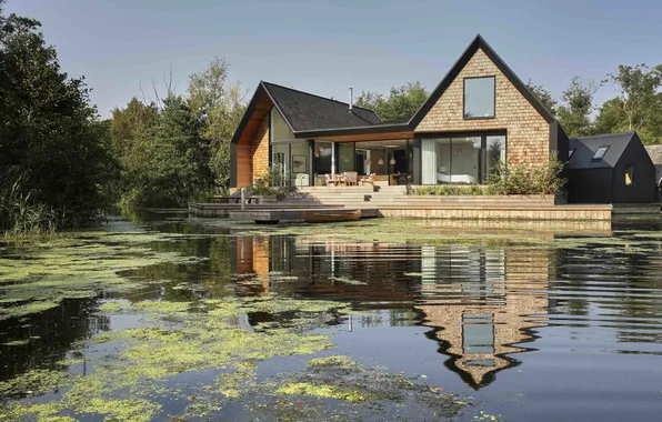 Picture forest, the sky, grass, trees, nature, lake, house, plants