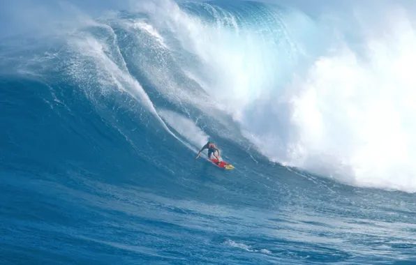 Picture the ocean, wave, surfer