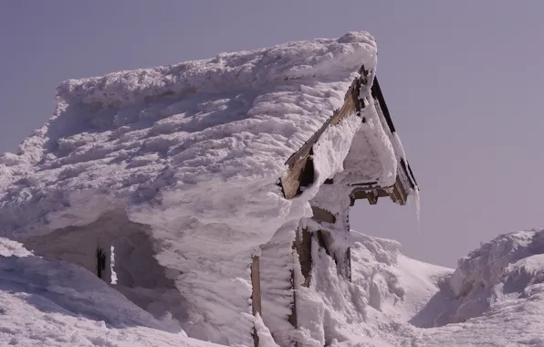 Snow, winter, cabin