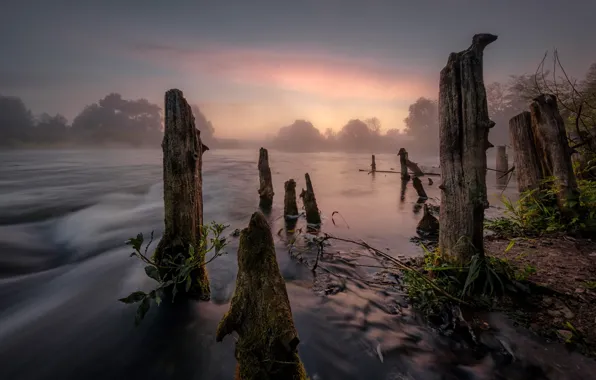 The sky, clouds, trees, branches, fog, river, dawn, shore