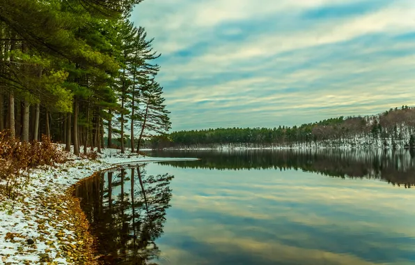 The sky, clouds, snow, trees, river