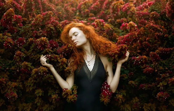 Girl, pose, mood, hands, red, redhead, the bushes, closed eyes