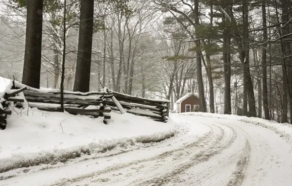 Winter, road, forest, house