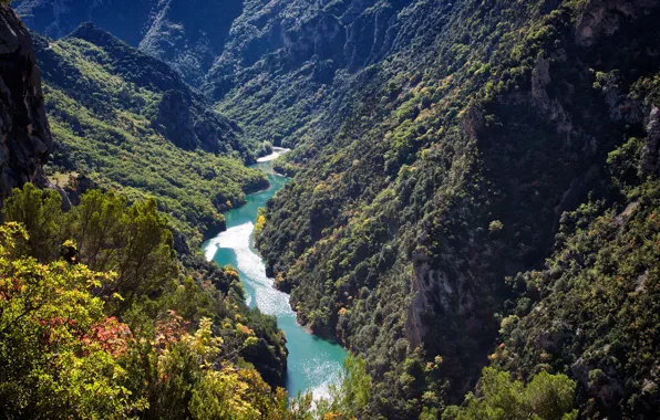 Forest, the sun, trees, mountains, river, rocks, France, gorge