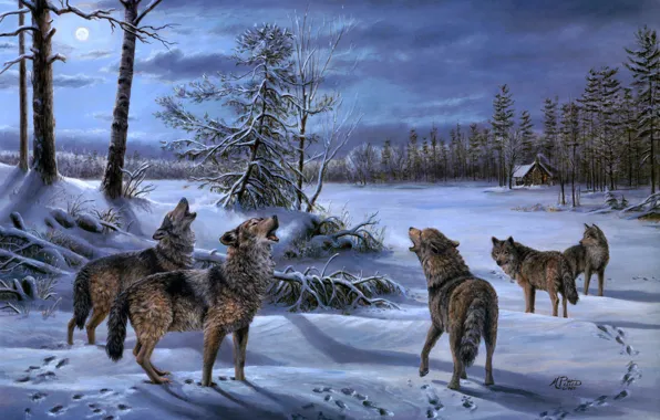 Picture winter, forest, night, the moon, wolf, pack, wolves, hut