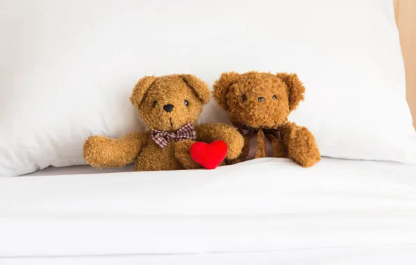 Picture love, toy, heart, bear, bear, pair, love, two