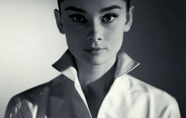 Picture portrait, actress, brunette, Audrey Hepburn