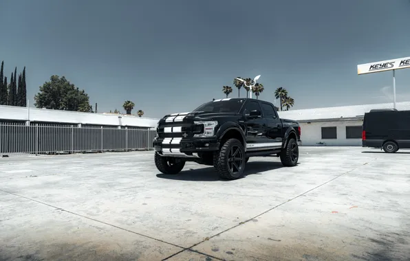 Picture Shelby, Black, White, F-150