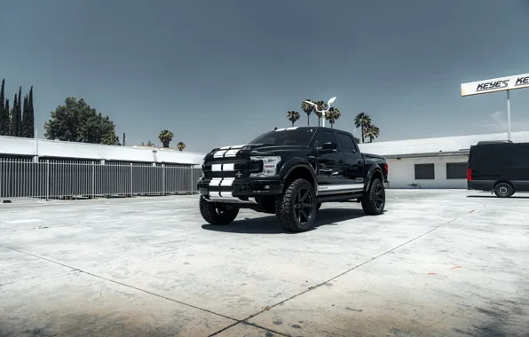 Shelby, Black, White, F-150