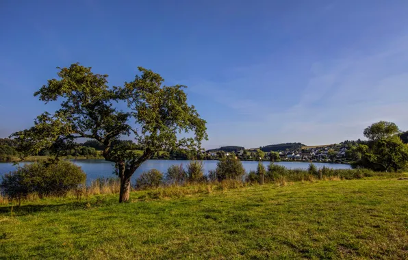 Picture greens, the sky, grass, trees, river, shore, home, Germany