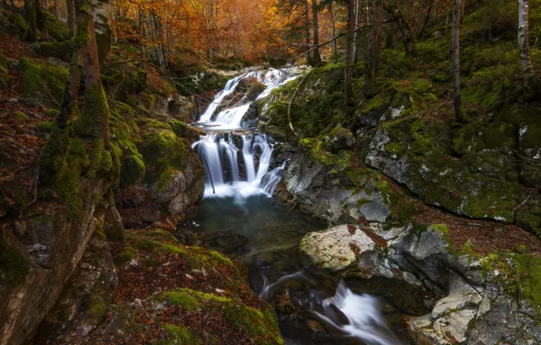 Autumn, forest, trees, stones, thickets, shore, foliage, waterfall