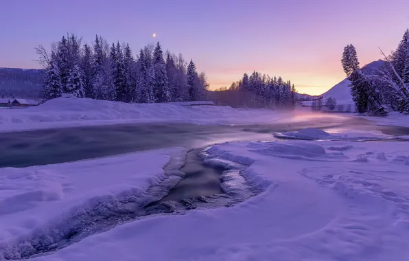 Winter, forest, the sky, snow, sunset, nature, river, lilac