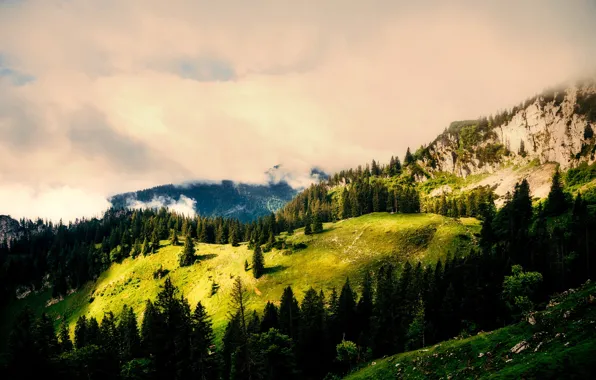 Picture forest, the sun, clouds, trees, mountains, rocks, Germany, the view from the top