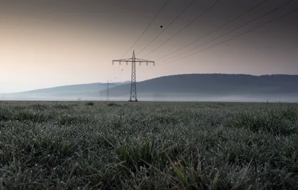 Field, fog, power lines