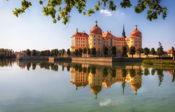 Trees, branches, lake, reflection, castle, Germany, Germany, Saxony
