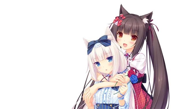 Kawaii, girl, nothing, anime, cat, pretty, asian, cute