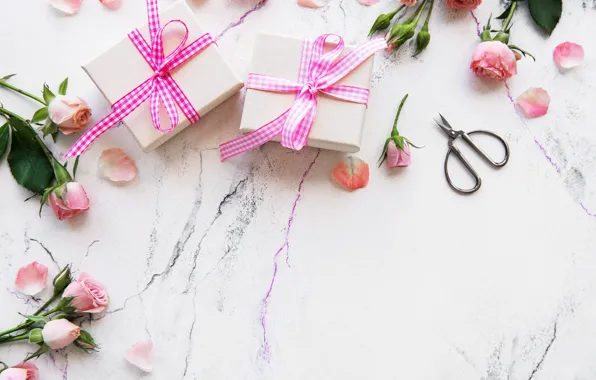 Flowers, holiday, gifts, Olena Rudo