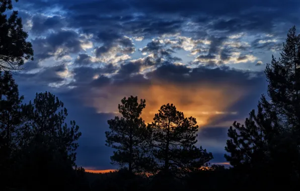 Picture the sky, landscape, night, nature