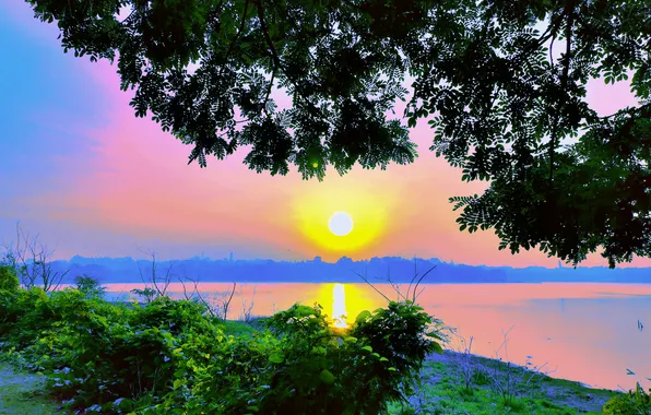 Sun, Water, Sunrise, Dawn, Morning, Lake, Trees, Reflection