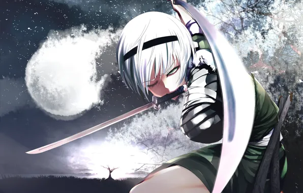 Look, girl, trees, night, weapons, petals, Sakura, touhou