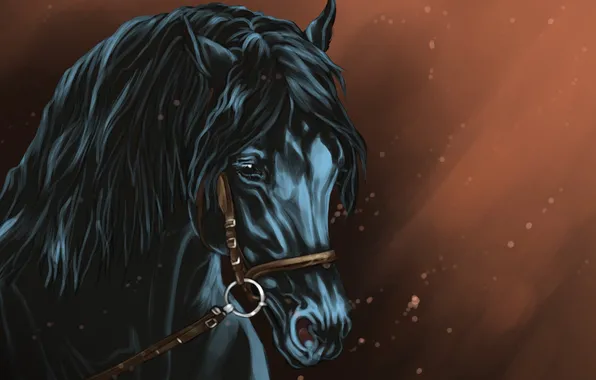 Picture look, background, horse, art, black