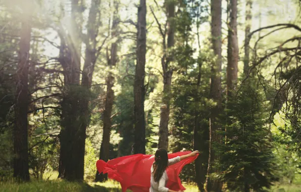 Forest, girl, trees, red, shawl