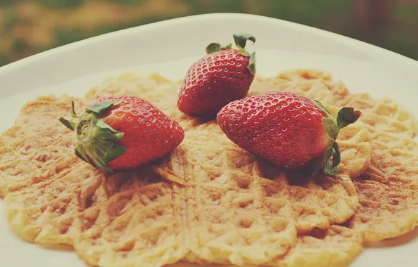 Food, strawberry, plate, waffles